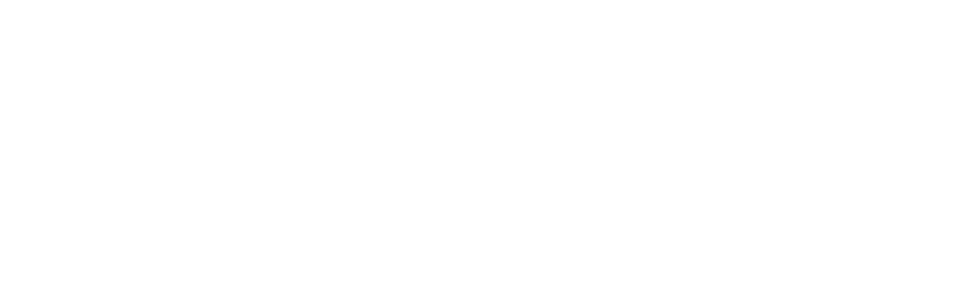 International Strategic Partners